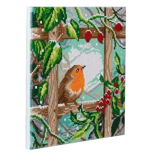 CAK-A142M: Robin at the Fence Crystal Art 30*30cm Canvas