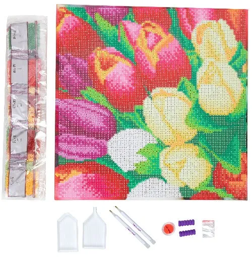 CAK-A176M: "Colourful Flowers" 30x30cm Crystal Art Kit