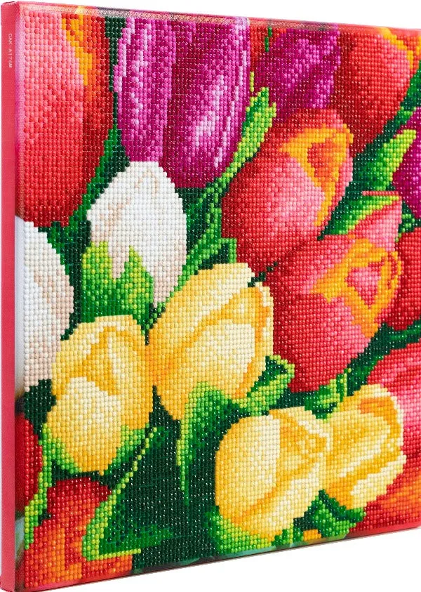 CAK-A176M: "Colourful Flowers" 30x30cm Crystal Art Kit