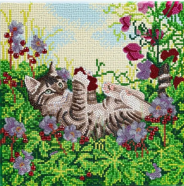 CAK-A178M: "Playful Cat" 30x30cm Crystal Art Kit