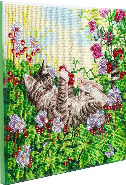 CAK-A178M: "Playful Cat" 30x30cm Crystal Art Kit