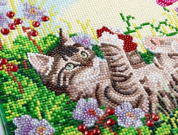 CAK-A178M: "Playful Cat" 30x30cm Crystal Art Kit