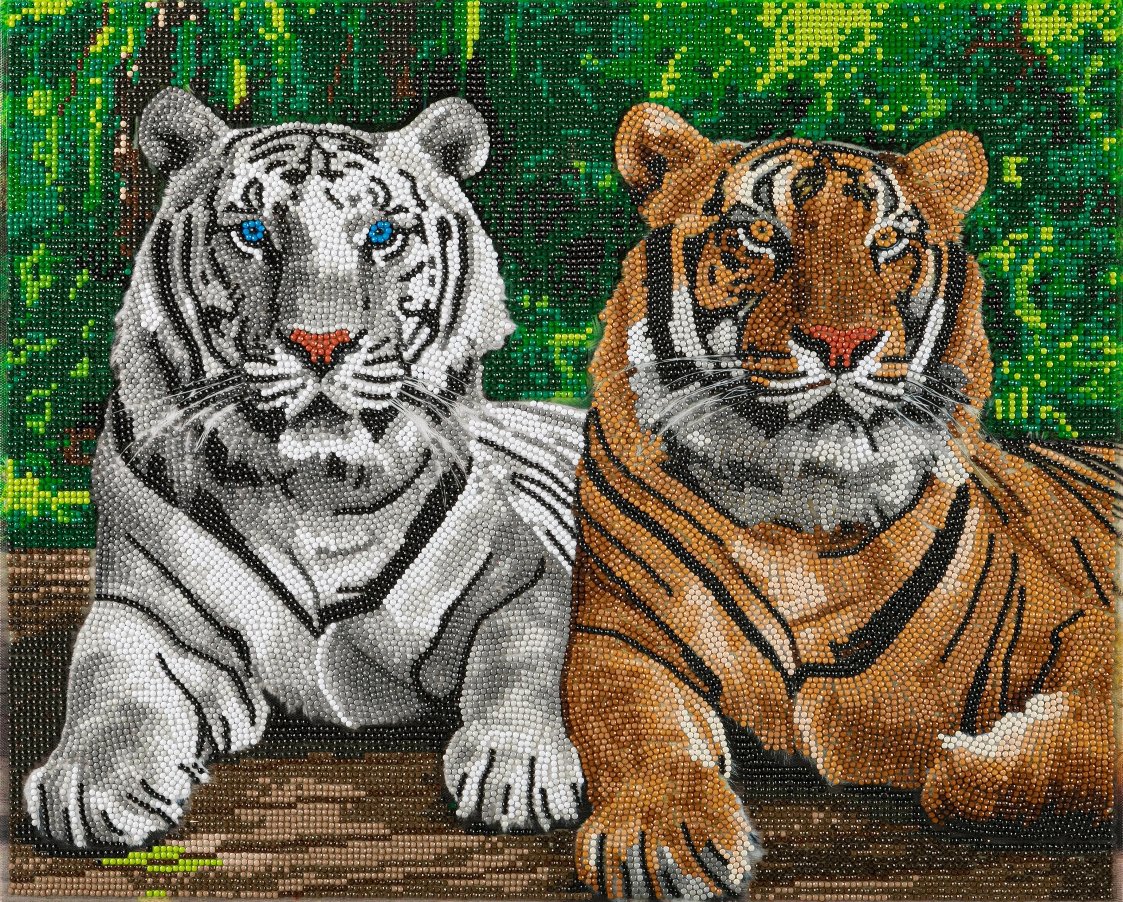 CAK-A201L: "Tigers" 40x50cm Crystal Art Kit