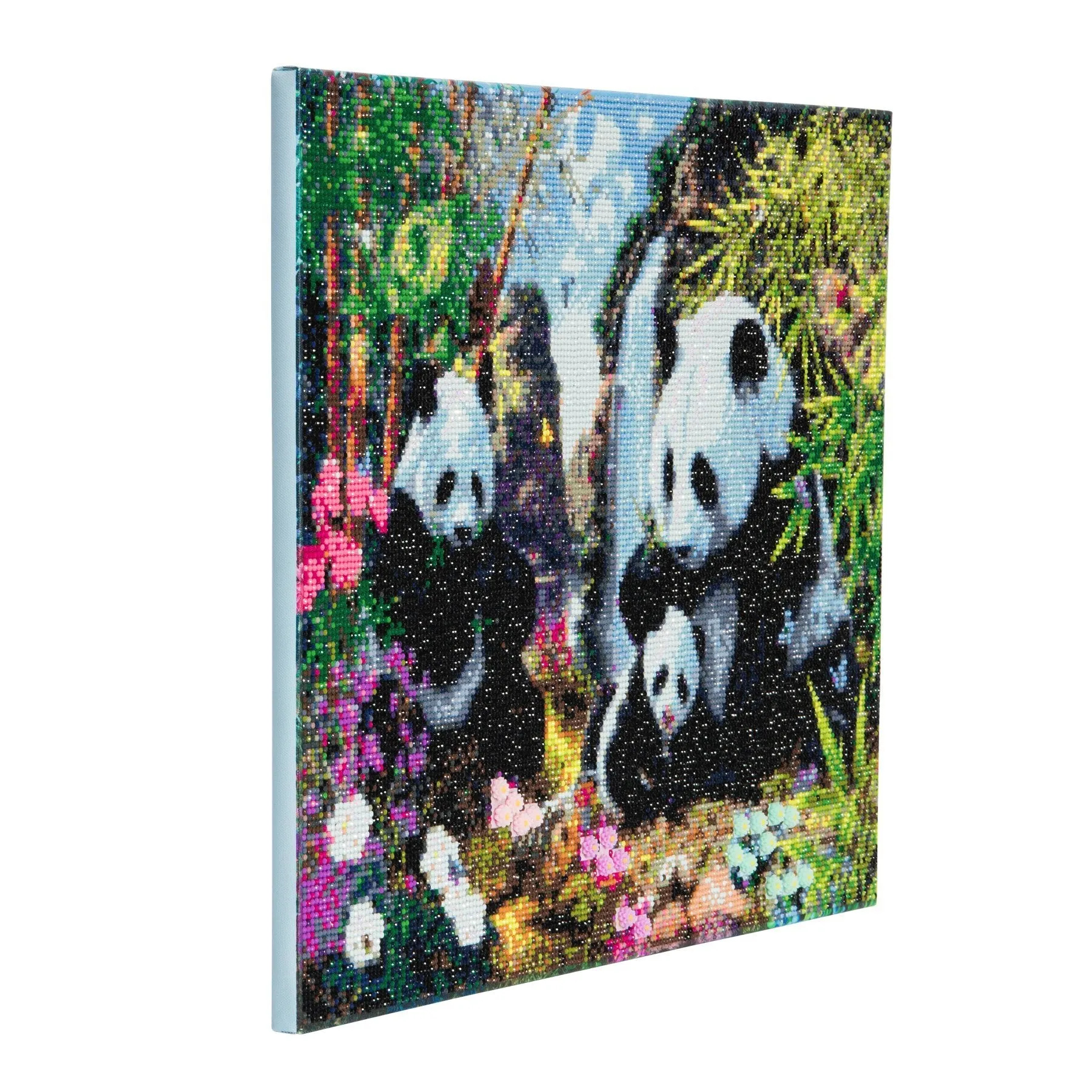 CAK-A21: "Panda Valley" Framed Crystal Art Kit, 40 x 50cm