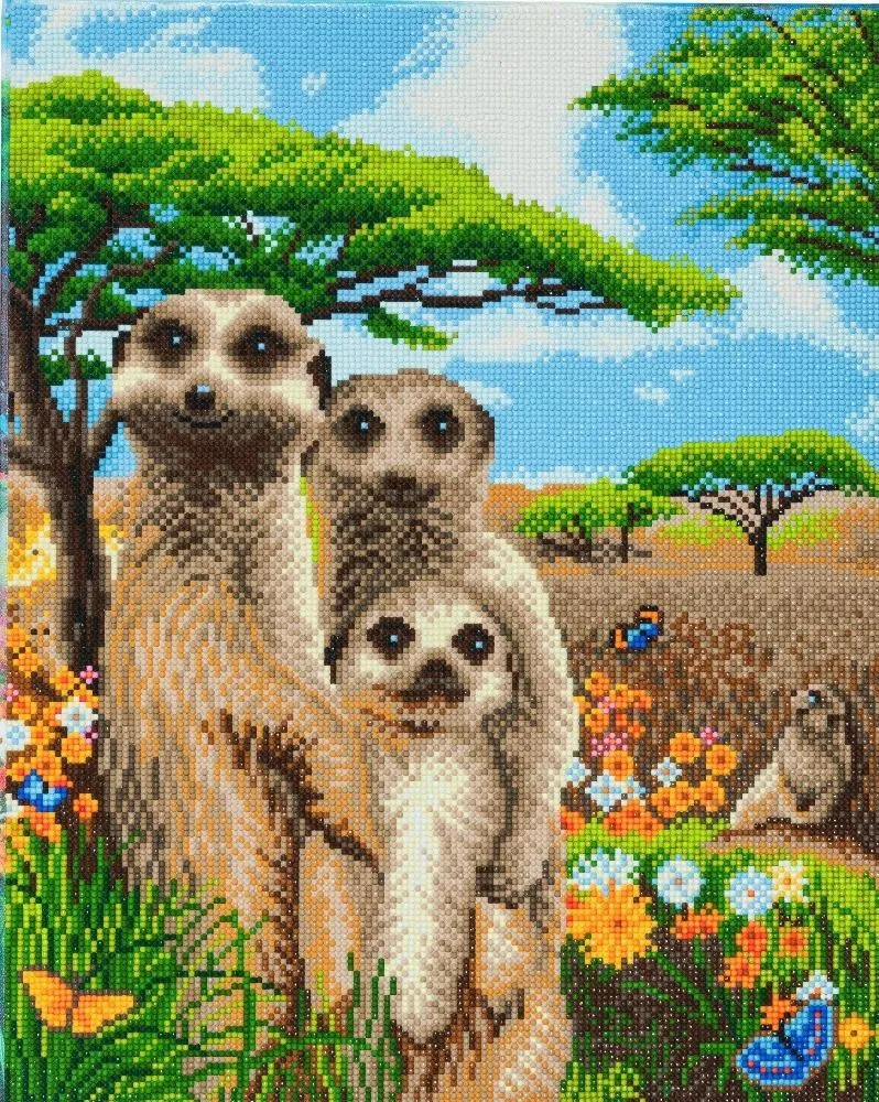 CAK-A70: "Meerkat Family" Framed Crystal Art Kit, 40 x 50cm