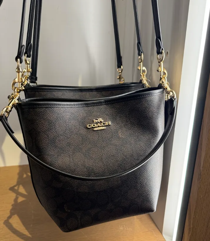 Coach City Bucket Bag In Signature Walnut Black